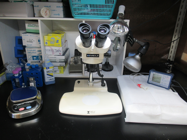 双眼実体顕微鏡、体温モニター等
